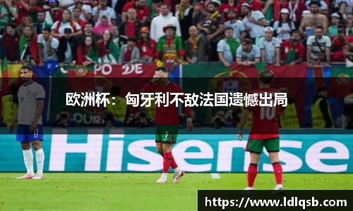 欧洲杯：匈牙利不敌法国遗憾出局