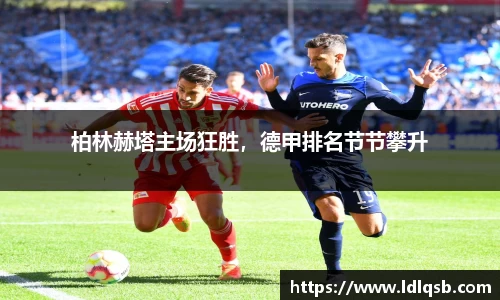 yy易游体育