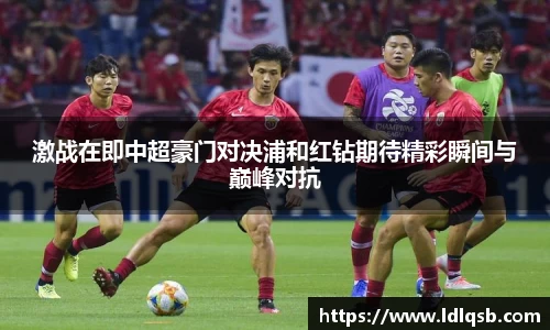 yy易游体育