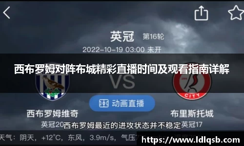 yy易游