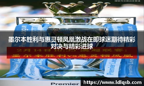 墨尔本胜利与惠灵顿凤凰激战在即球迷期待精彩对决与精彩进球