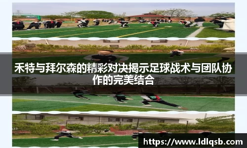 yy易游体育