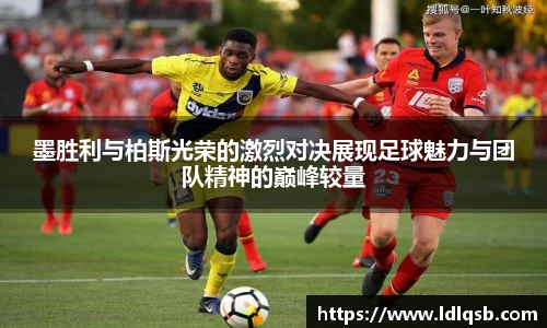 yy易游体育
