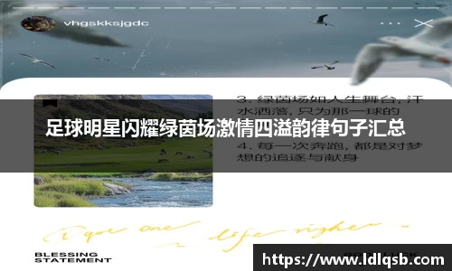 易游体育