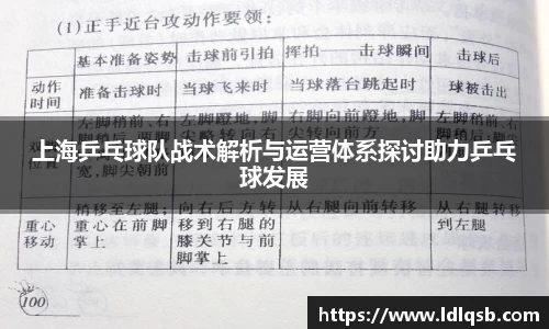 上海乒乓球队战术解析与运营体系探讨助力乒乓球发展