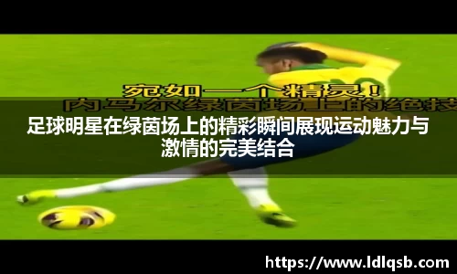 足球明星在绿茵场上的精彩瞬间展现运动魅力与激情的完美结合