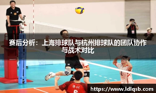 赛后分析：上海排球队与杭州排球队的团队协作与战术对比